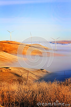 Windmills and Fog Stock Photo