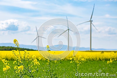 Windmills Stock Photo