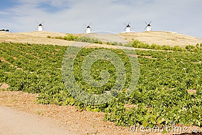 windmills with vineyard, Alcazar de San Juan, Castile-La Mancha Stock Photo