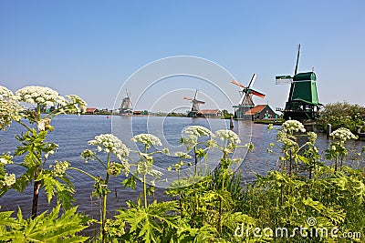 Windmills at Zaanse Schans Stock Photo