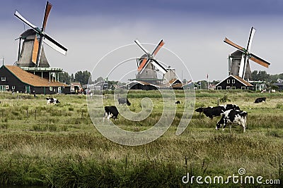 Windmills at Zaanse Schans in Holland Stock Photo