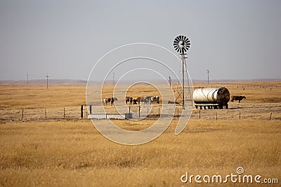 Windmotor on grasland Stock Photo