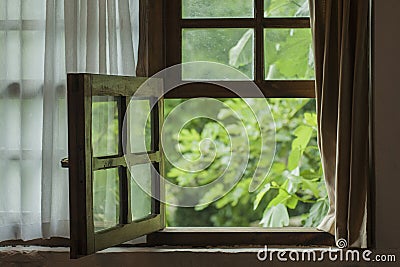 Window Stock Photo