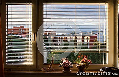 Window blinds Stock Photo