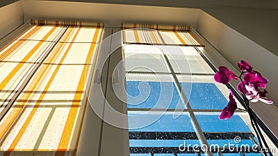 Window with blinds and flower Stock Photo