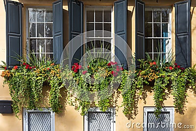 Window Boxes, Flowers, and Shutters in Charleston SC Stock Photo