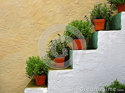 Herb flowerpots on stairs alongside house wall mediterranean style Stock Photo