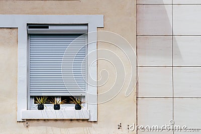 Window of a building with rolling shutter and three decorative pots with green plants Stock Photo