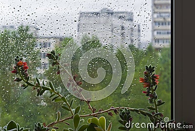 A window covered with raindrops Stock Photo