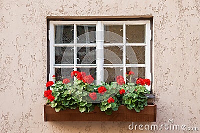 Window decorated with Geranium flowers Stock Photo