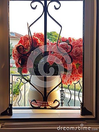 Window flower bigonia from inside Stock Photo