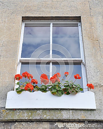 Window Flower Box Stock Photo