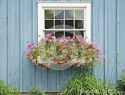 Window flower box Stock Photo