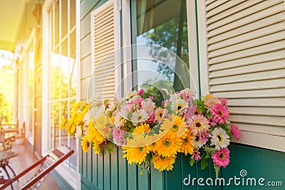 window with flower box and shutters at home Stock Photo