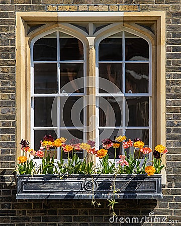 Window and Flowers at Middle Temple in London, UK Stock Photo