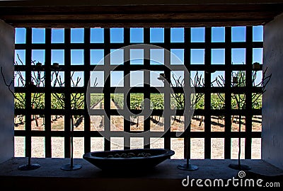 Vineyard in Colchagua Valley Chile Stock Photo