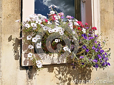 Window Garden Flower Box Stock Photo