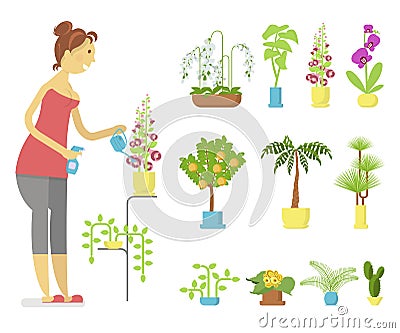 Window gardening ifographic elements Vector Illustration