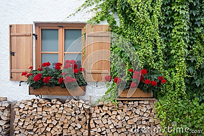 Window with geraniums on exterior wall Stock Photo