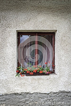 A window with geraniums on an old house and a photographer`s reflection Stock Photo