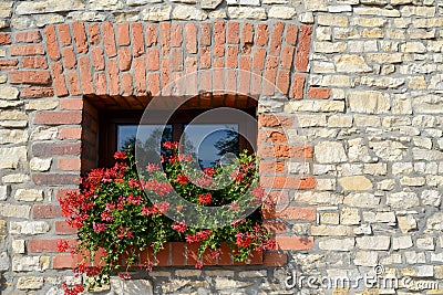 Window with geraniums Stock Photo