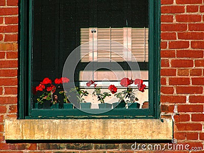 Window in Historic Building 2 Stock Photo