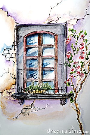 Window on an old wall with a weaving rose Cartoon Illustration