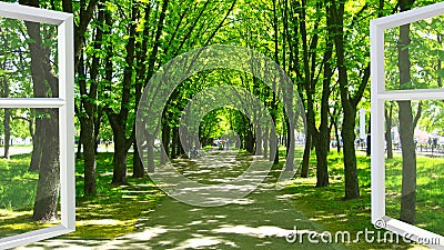 Window opened to the park with many green trees Stock Photo