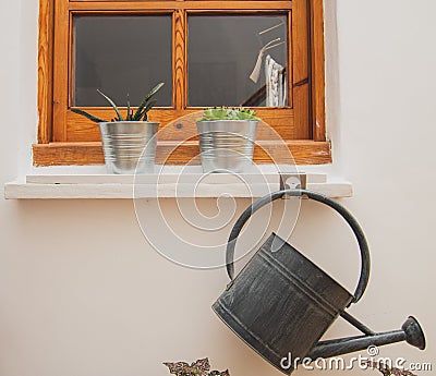 Window with plants and a hanging gutter Stock Photo