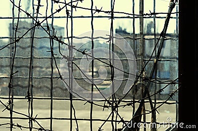 Window prison glass Store Stock Photo