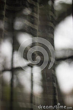 Window Reflection with courtains and plants Stock Photo