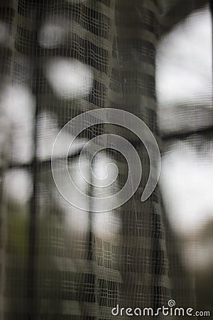 Window Reflection with courtains and plants Stock Photo