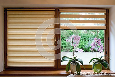 Window roller, duo system day and night. Cozy home interior Stock Photo
