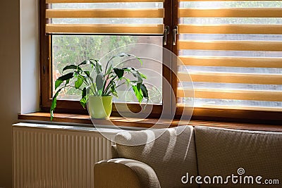 Window roller, duo system day and night. Cozy home interior Stock Photo