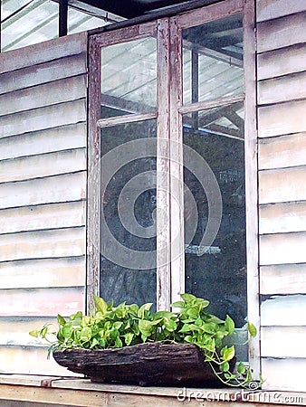 window Stock Photo