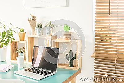 Window with wooden blinds in white room interior with home office desk with laptop, coffee cup, decor and fresh cactuses Stock Photo