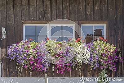 windows and blossoming colorful flowers at old house, Obertstdorf, Germany Stock Photo