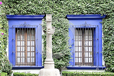 Windows of a building decorated with green ivy and side view of a statue Stock Photo