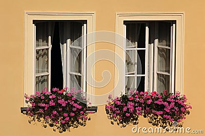 Windows with flowers Stock Photo