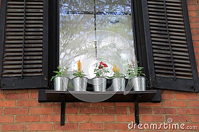 Windowsill of country home with five little pots of flowers for decoration Stock Photo