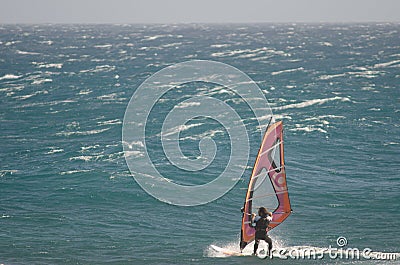 Windsurfer sailing in the sea. Editorial Stock Photo