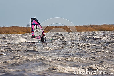 Windsurfing in a hurricane Editorial Stock Photo