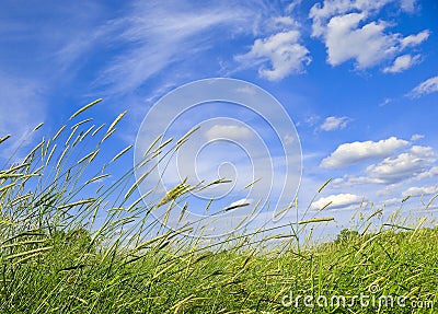 Windy day Stock Photo