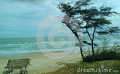 Windy day on tropical beach Stock Photo