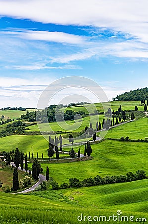 Windy road near Montepulciano Stock Photo