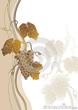 Wine background Vector Illustration