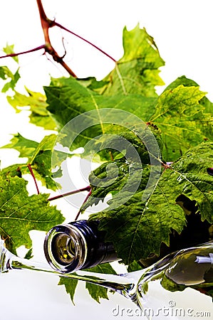 Wine bottle Stock Photo