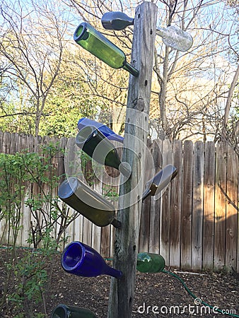 Wine Bottle Tree Stock Photo