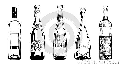 Wine bottle Vector Illustration