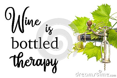 Wine is bottled thetapy. Funny quotes. Bottle sparkling wine Stock Photo